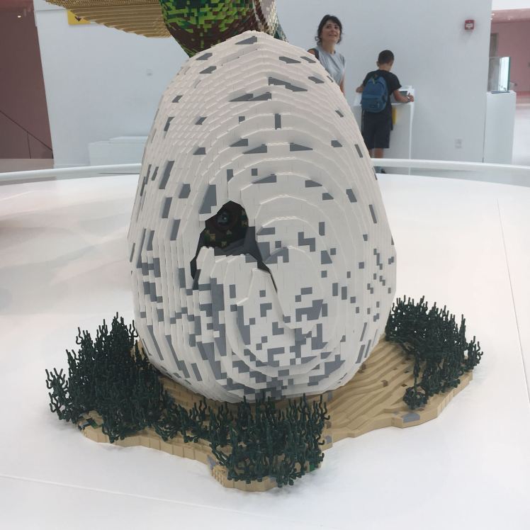 WhatsApp Image 2018-07-21 at 18.31.33 (1)